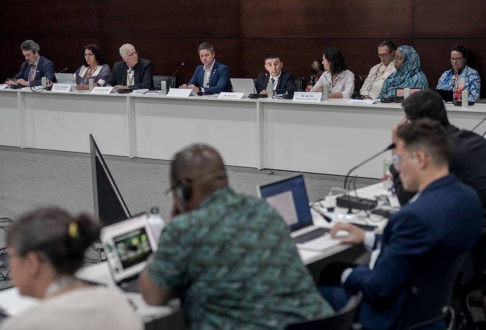 Azərbaycanın COP29-da irəli sürdüyü təşəbbüs qlobal nailiyyətə çevrilib