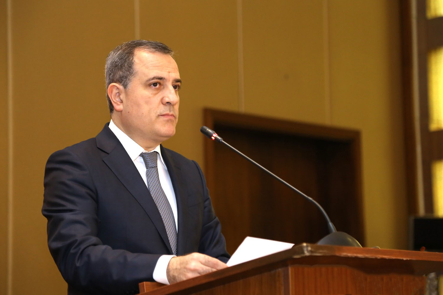 Ceyhun Bayramov: “Bəzi Qərb ölkələrinin David Babayana 10 illik viza verməyi ciddi suallar doğurur”