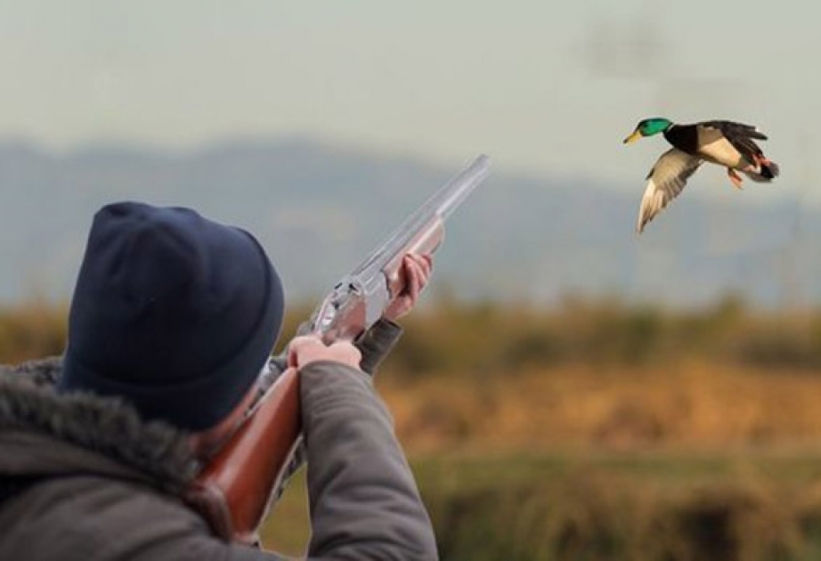 Qanunsuz ov edən şəxs saxlanılıb