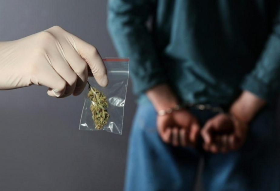 2025-ci ildə 8,3 ton narkotik vasitə qanunsuz dövriyyədən çıxarılıb