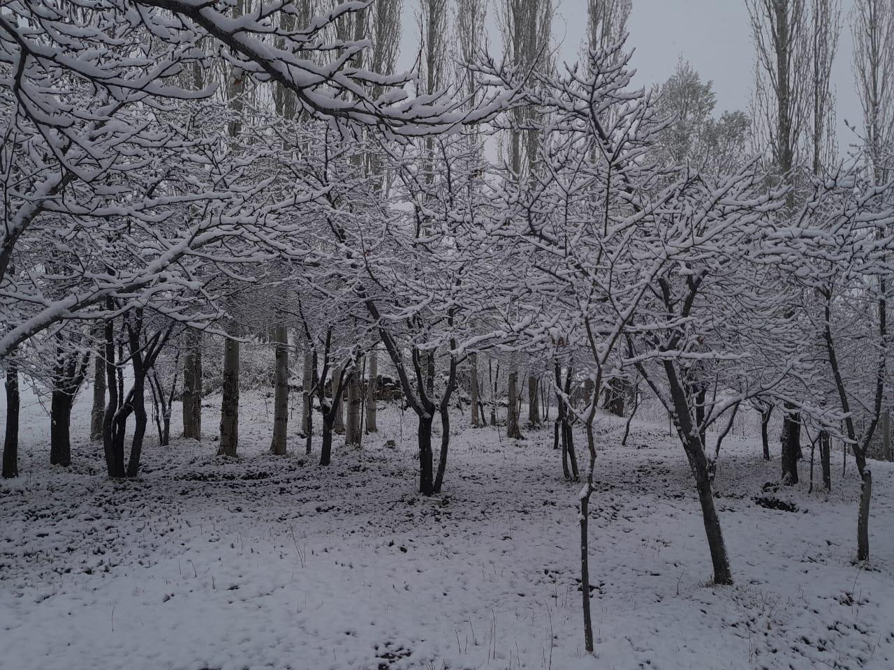 Ölkənin bəzi ərazilərinə qar yağıb - Faktiki Hava 