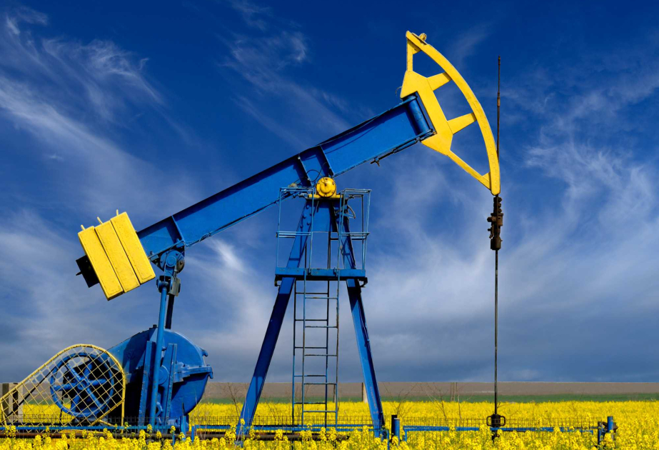 “Qərbi Azəri” platformasından  hasil olunan neftin həcmi açıqlanıb