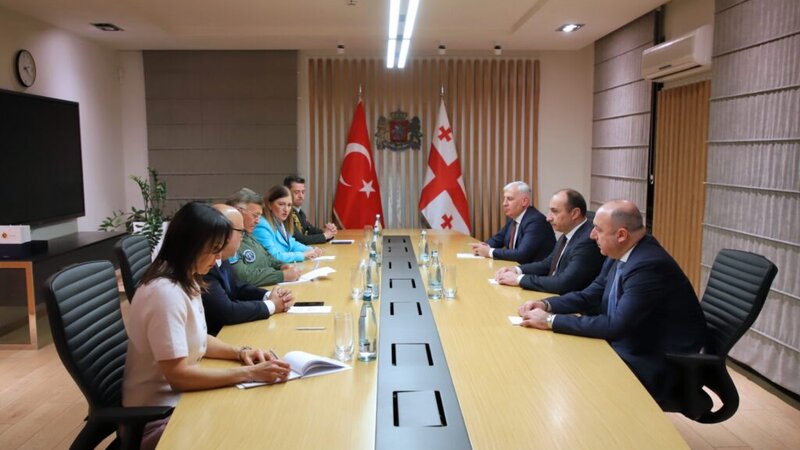Gürcüstan və Türkiyə təyyarə qəzasını müzakirə edib