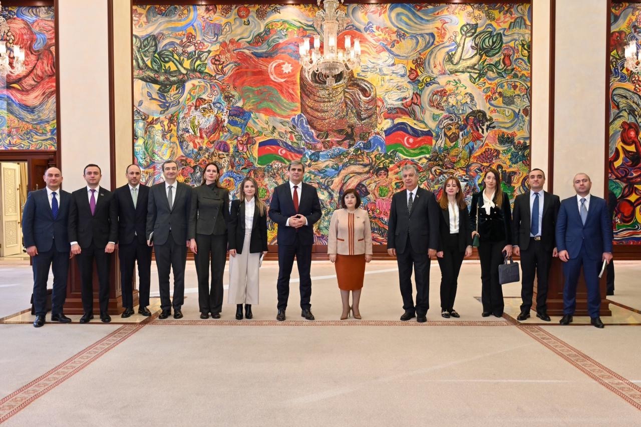 Sahibə Qafarova Ervin İbrahimoviç ilə görüşüb - Fotolar