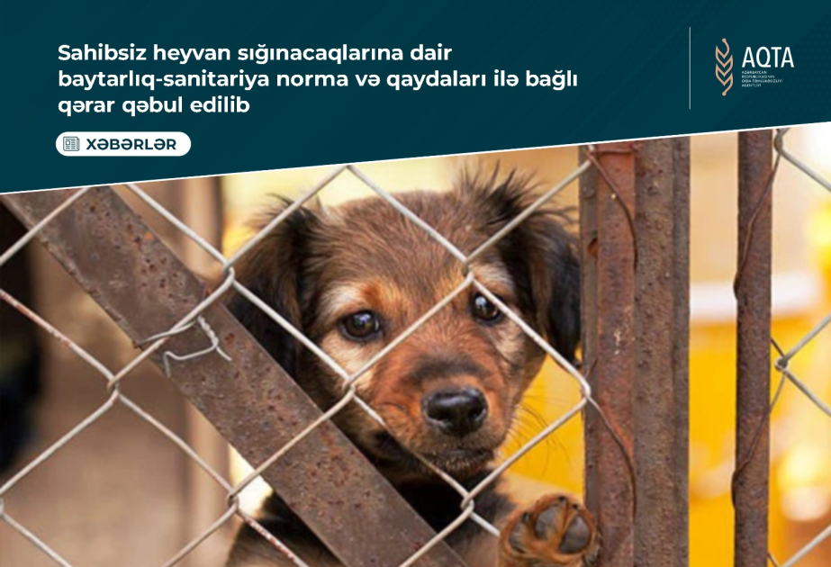  “Sahibsiz heyvan sığınacaqlarına dair baytarlıq-sanitariya norma və qaydaları” təsdiq edilib
