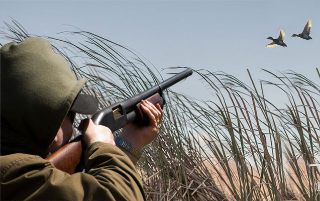 Sabahdan ov mövsümü açılır