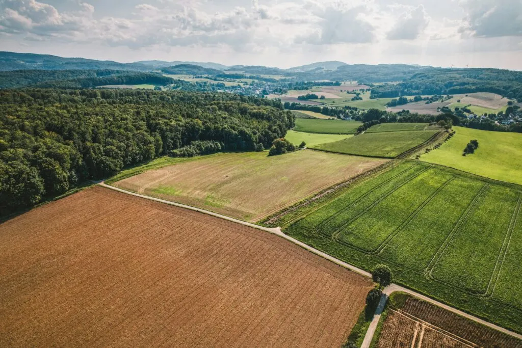 Aqrar təyinatlı torpaqlarda müvəqqəti tikililər barədə məlumatlandırma qaydaları təsdiqlənib - FƏRMAN