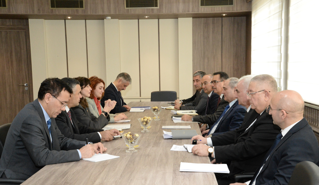 DSK sədri BMT-nin Azərbaycandakı Rezident Əlaqələndiricisi ilə görüşüb keçirilib - Fotolar