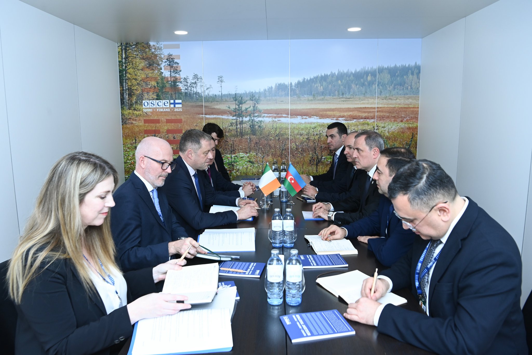 Ceyhun Bayramov İrlandiyanın XİN rəhbəri ilə danışıqlar aparıb