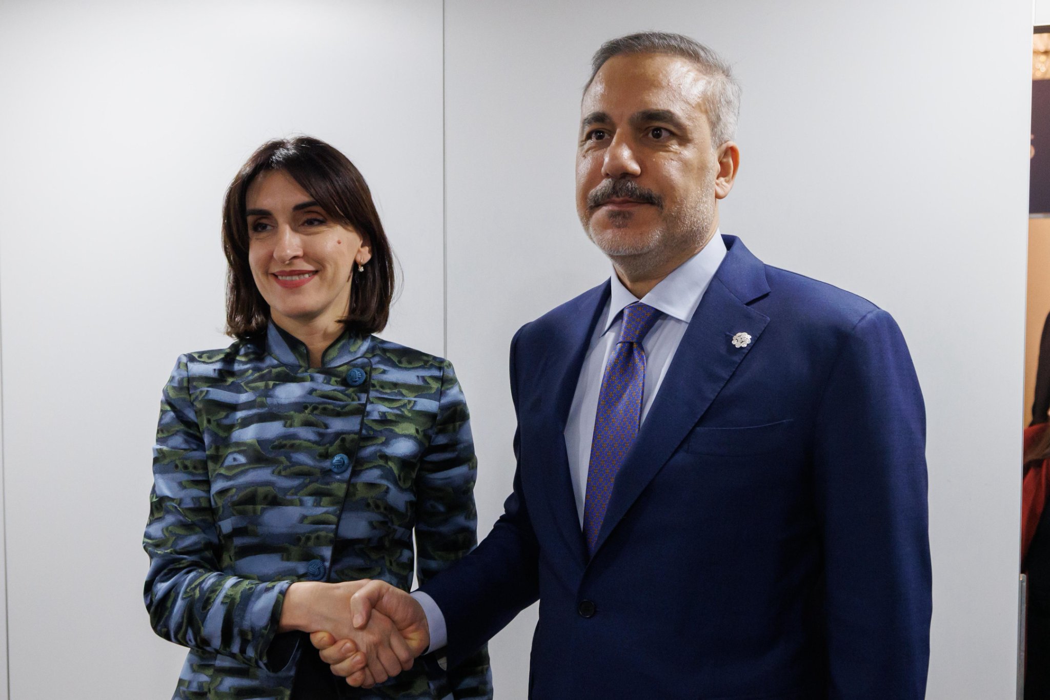 Vyanada Türkiyə və Gürcüstan XİN rəhbərləri arasında görüş olub