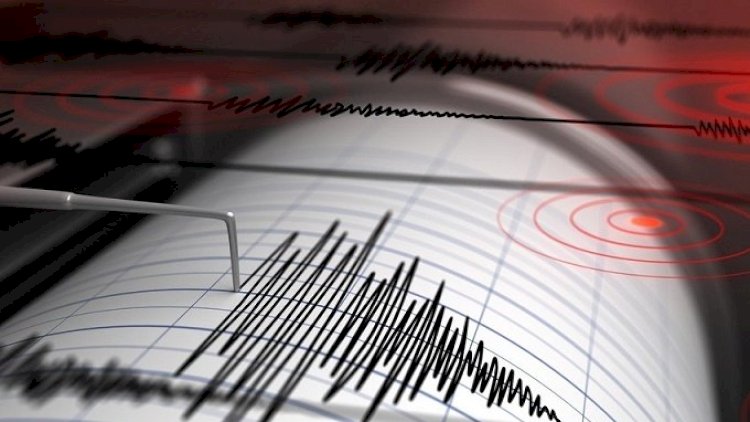 Özbəkistanda zəlzələ olub