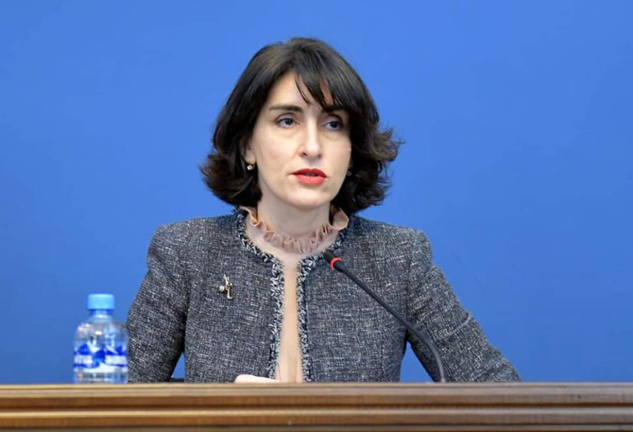 Maka Boçorişvili: Azərbaycan Gürcüstan üçün vacib strateji tərəfdaşdır