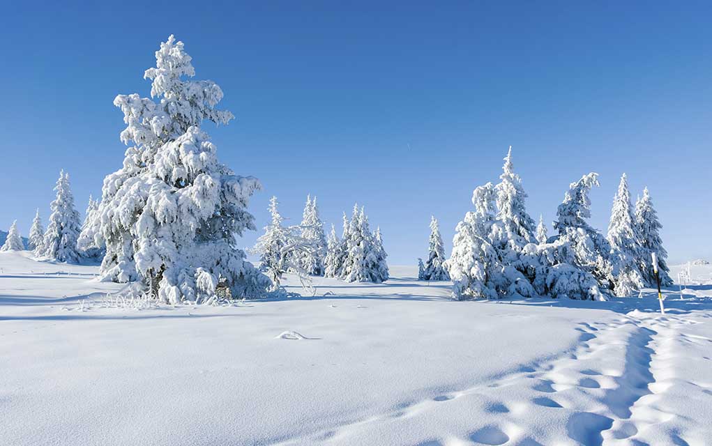 Bayram günlərində hava necə olacaq? - PROQNOZ