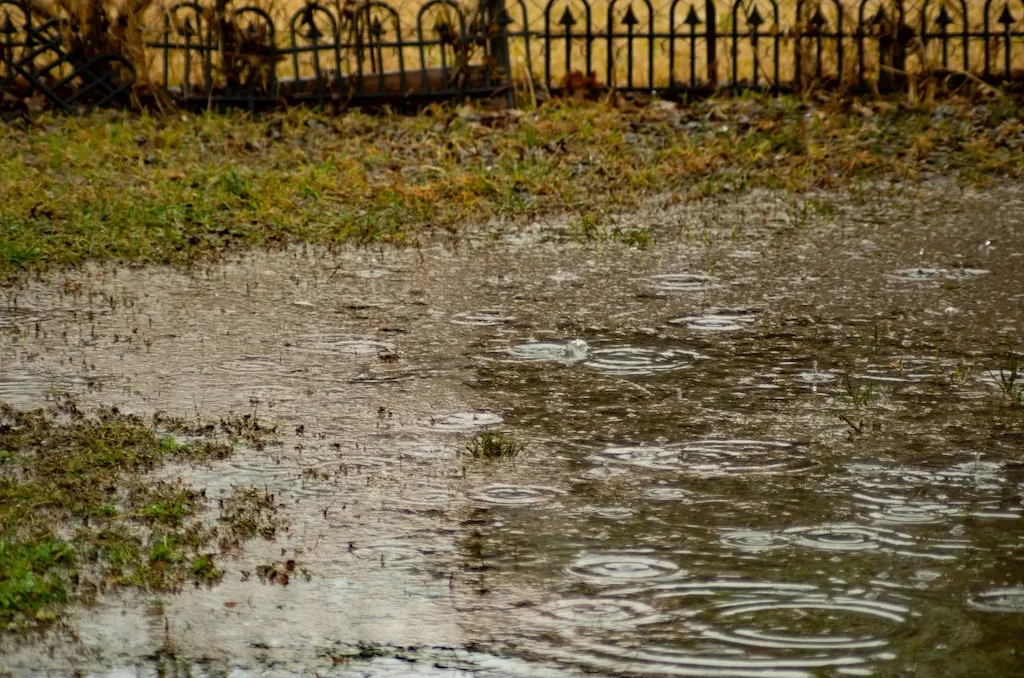 Bəzi yerlərdə hava şəraiti qeyri-sabit keçəcək - XƏBƏRDARLIQ