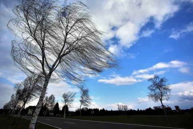 Küləkli hava ilə bağlı sarı xəbərdarlıq verilib