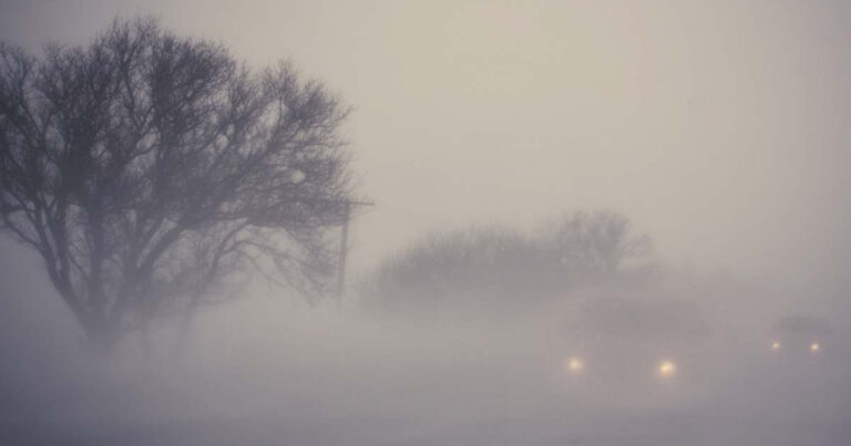 DYP sürücülərə xəbərdarlıq edib