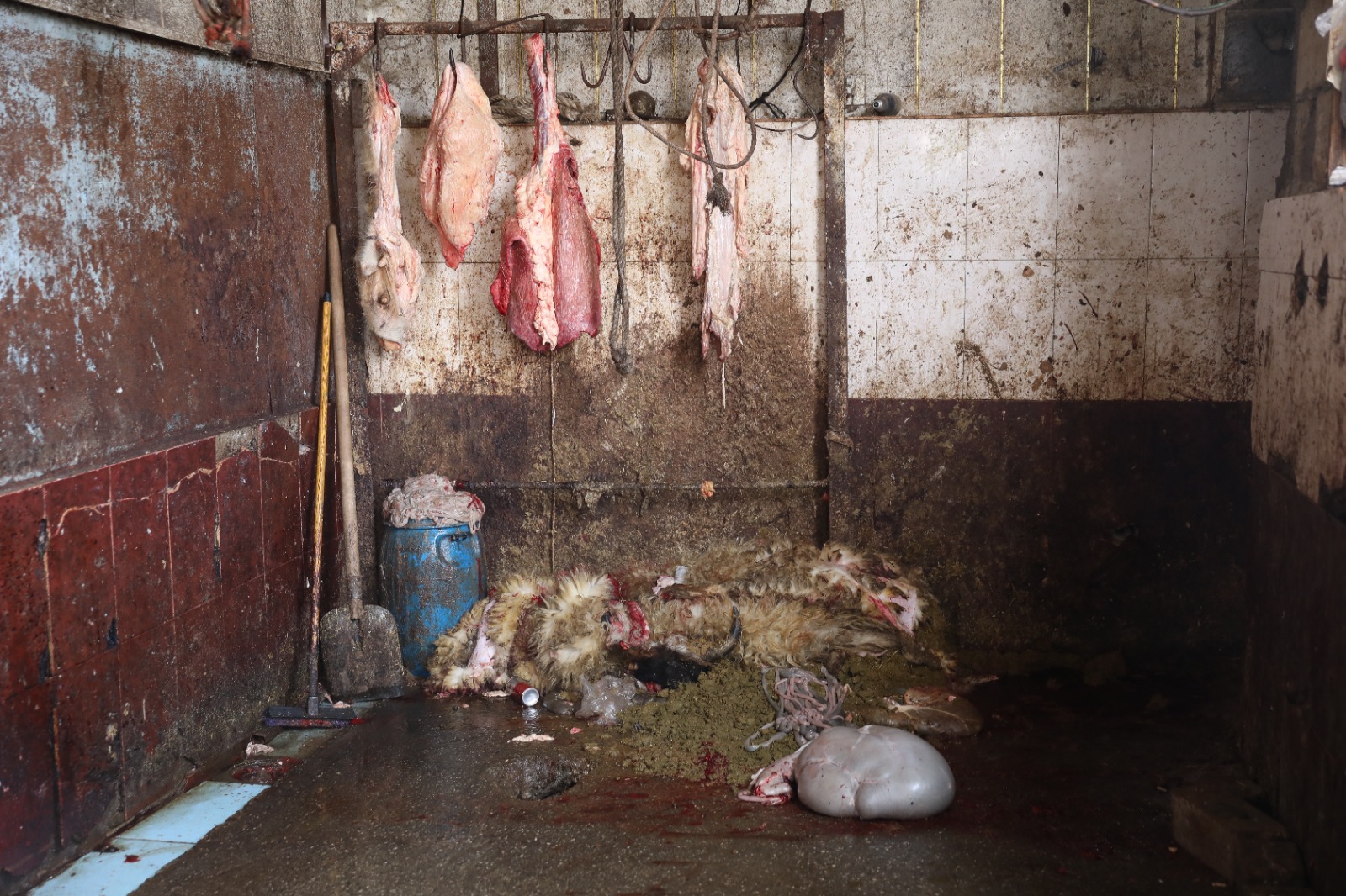 Maştağada “Xəyal” bazarında nöqsanlar aşkarlanıb