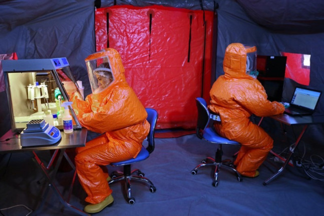 AQTA: Ölkədə quş qripi xəstəliyinə yoluxma halı aşkarlanmayıb