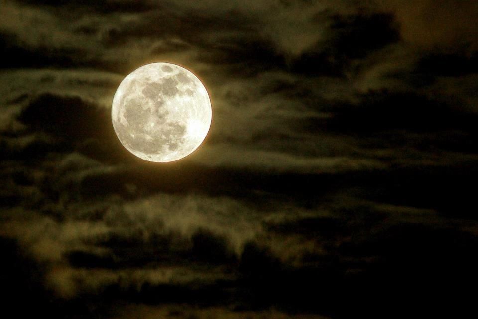 ABŞ-nin startap şirkəti Ayda otellər inşa etməyi planlaşdırır