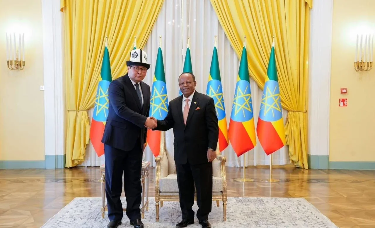 Qırğızıstan səfiri etimadnaməsini Efiopiya prezidentinə təqdim edib