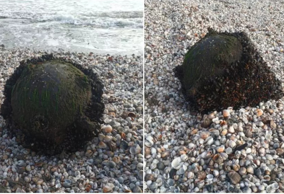 Rumıniyada dəniz minası aşkarlanıb