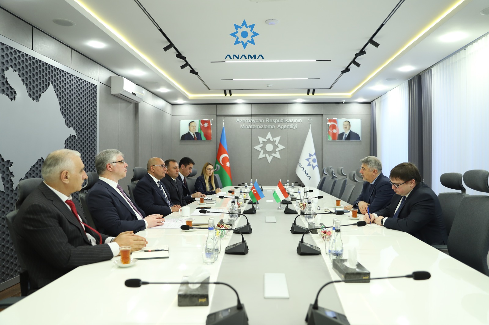 Macarıstanın ölkəmizdəki səfiri ilə ANAMA-da görüş keçirilib