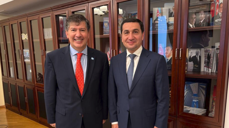 Hikmət Hacıyev BMT-nin Azərbaycandakı müvəqqəti rezident əlaqələndiricisi ilə görüşüb