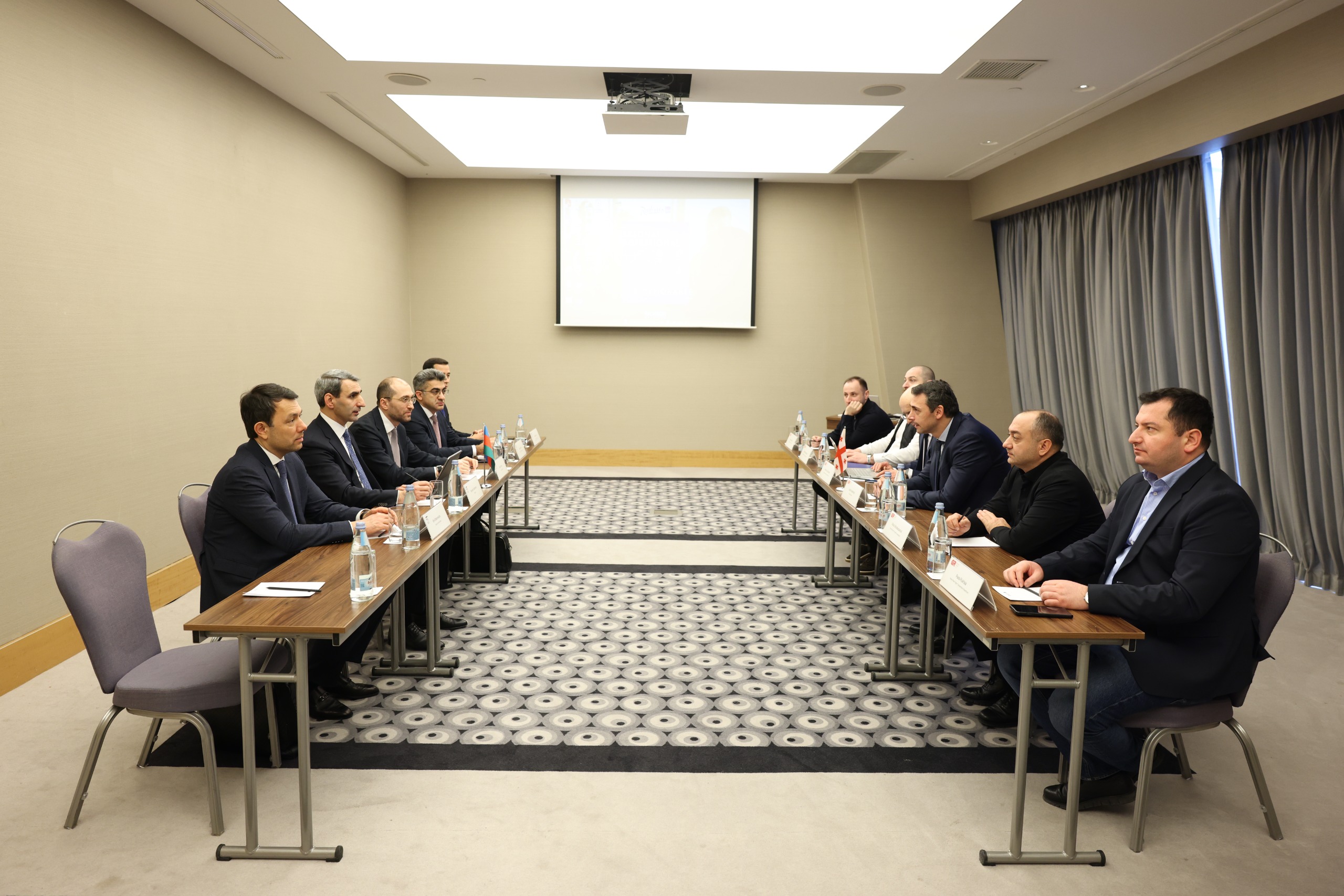 ADY sədri gürcüstanlı həmkarı ilə görüşüb