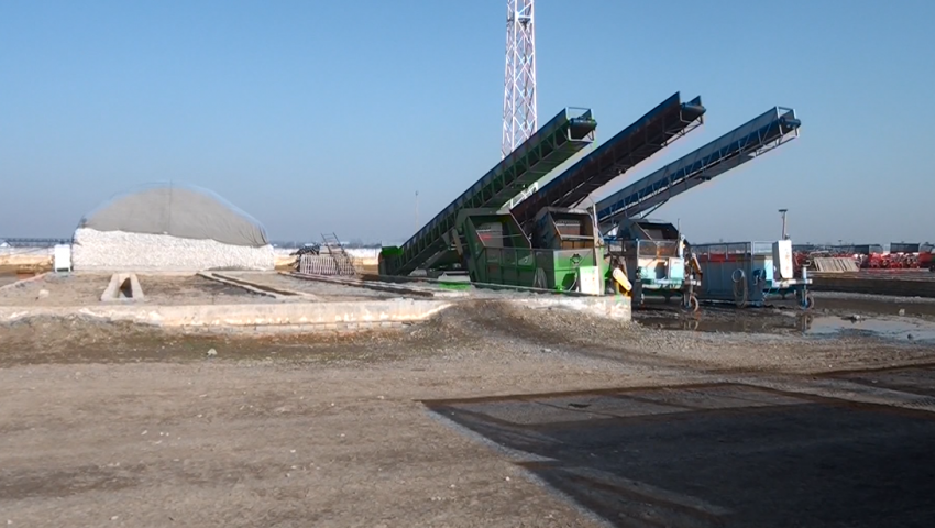 Bir qrup fermer “P-Aqro” MMC-yə satdıqları pambığın pulunu ala bilmirlər - VİDEO