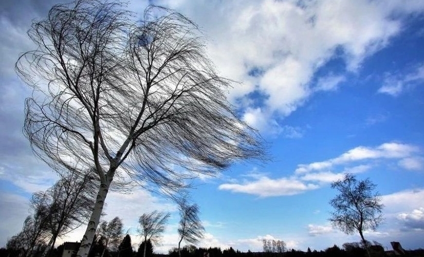 Küləyin sürəti 21 m/s-yə çatır - FAKTİKİ HAVA