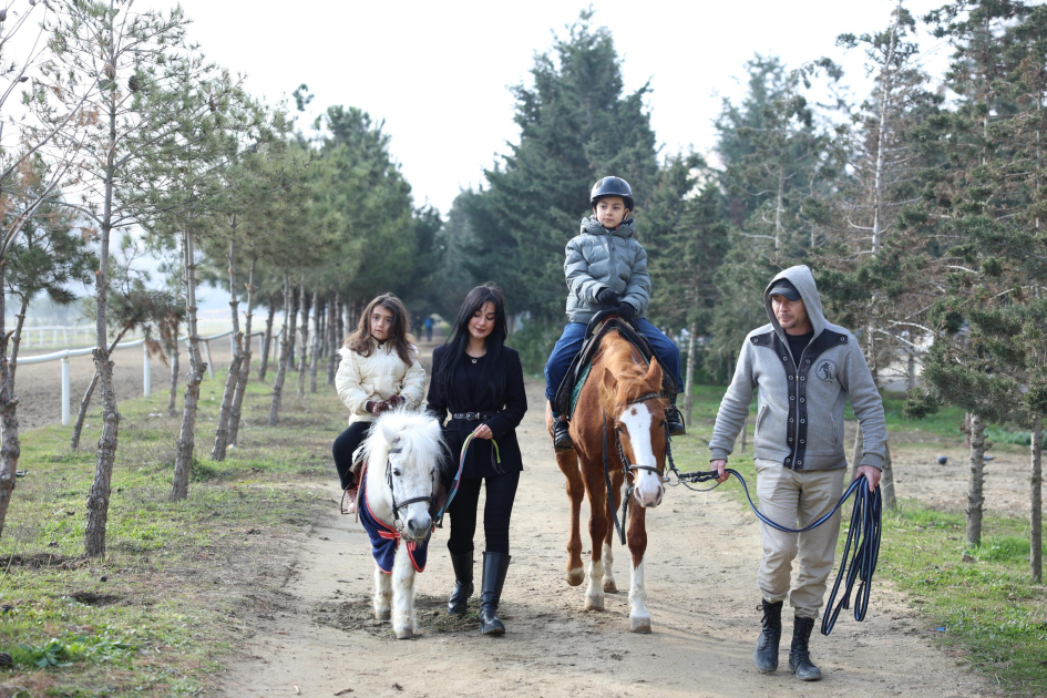Əlilliyi olan 1300-dən çox şəxs hippoterapiya xidmətlərinə cəlb olunub