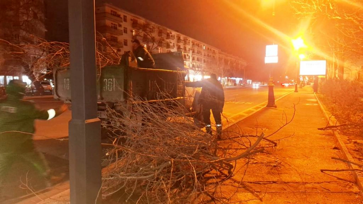Güclü külək Bakıda 78 ağacı sındırıb