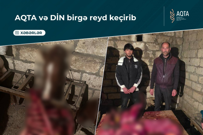 Tərtərdə 150 kq-a yaxın at əti aşkar edilib