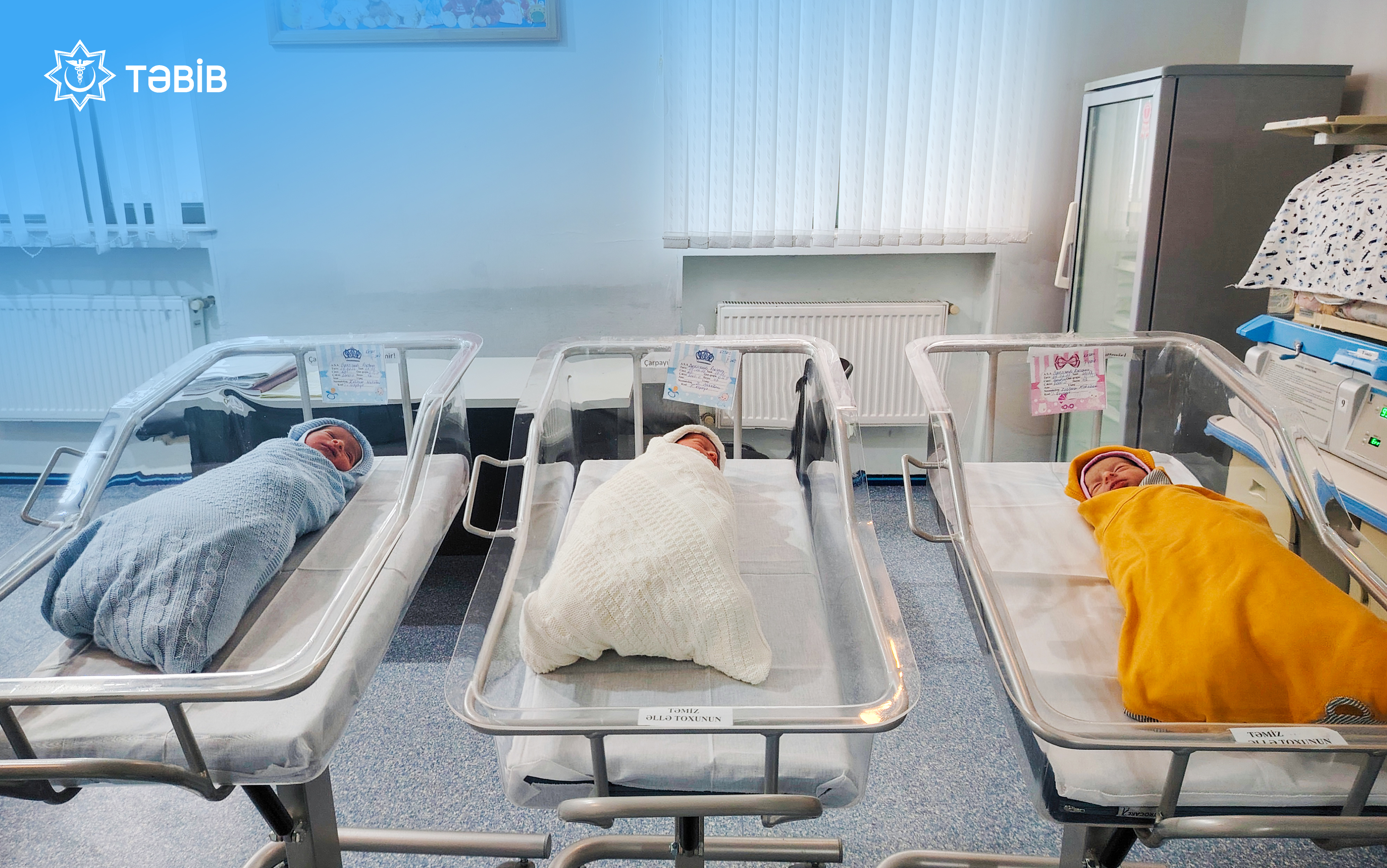 Lənkəranda üçuşaqlı ana üçəm dünyaya gətirib