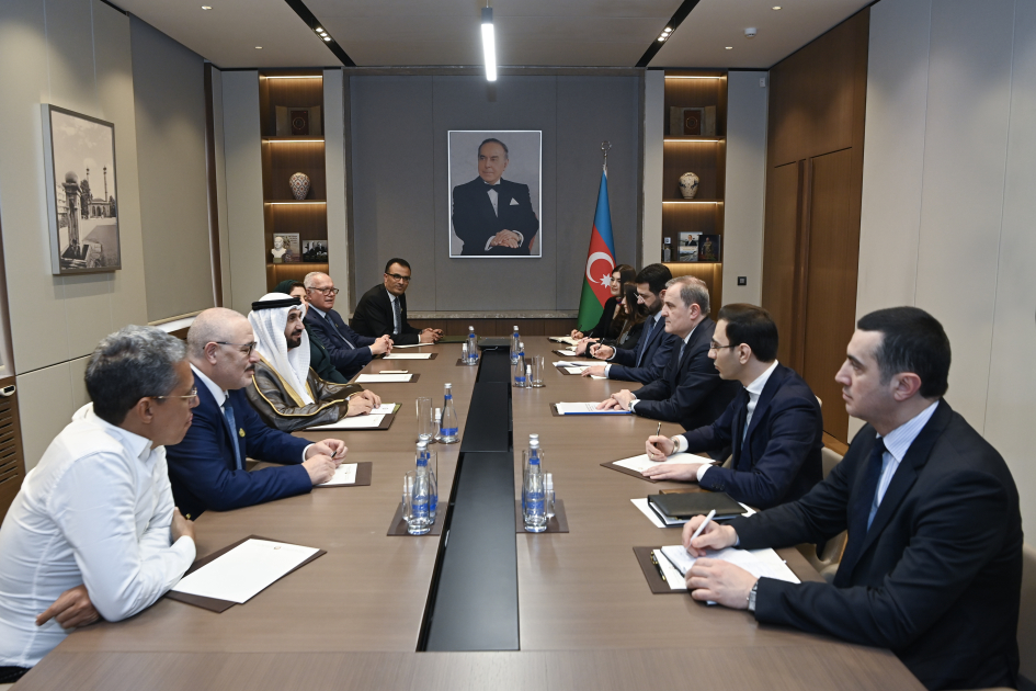 Azərbaycan ilə ərəb ölkələri arasındakı münasibətlər müzakirə olunub - FOTOLAR
