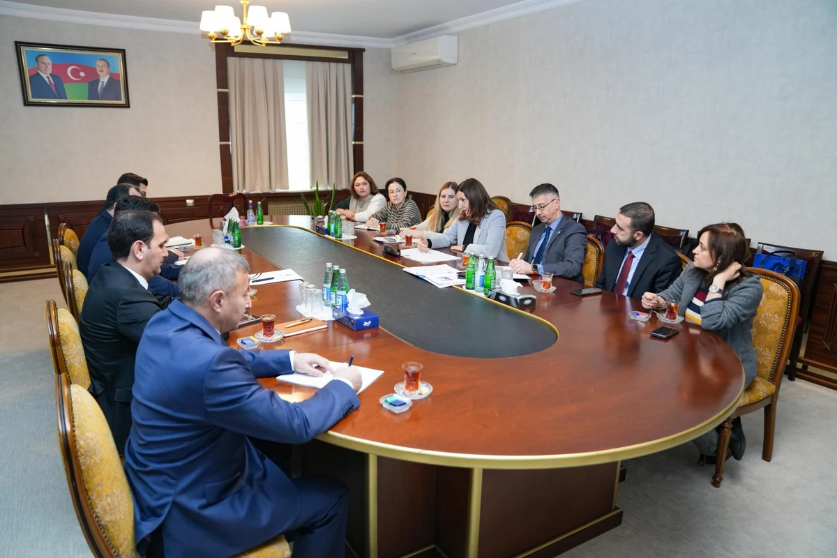 Aİ səfiri Naxçıvana səfər edib