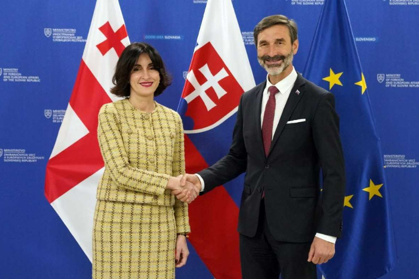 Gürcüstan və Slovakiya XİN rəhbərləri görüşüb