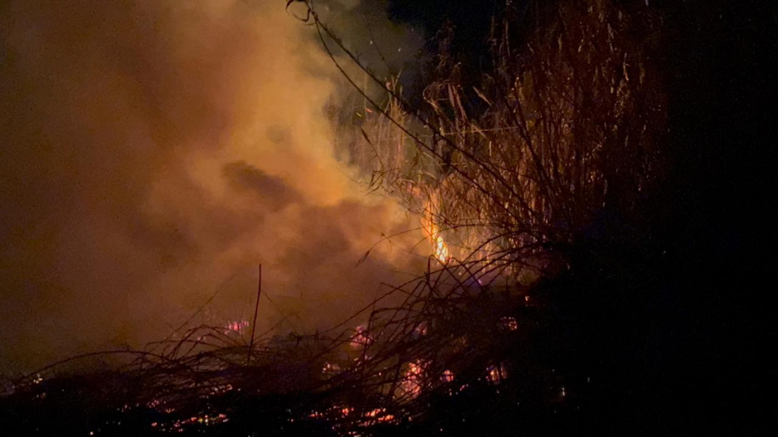 Ucarda qəbiristanlıqda yanğın baş verib