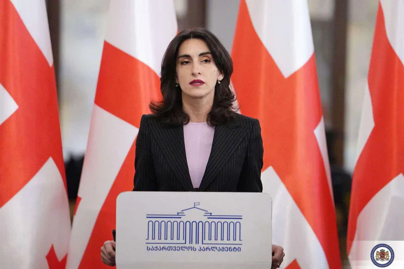 Maka Boçorişvili: Azərbaycan və Ermənistan arasında yeni yolun tikintisi region üçün müsbətdir