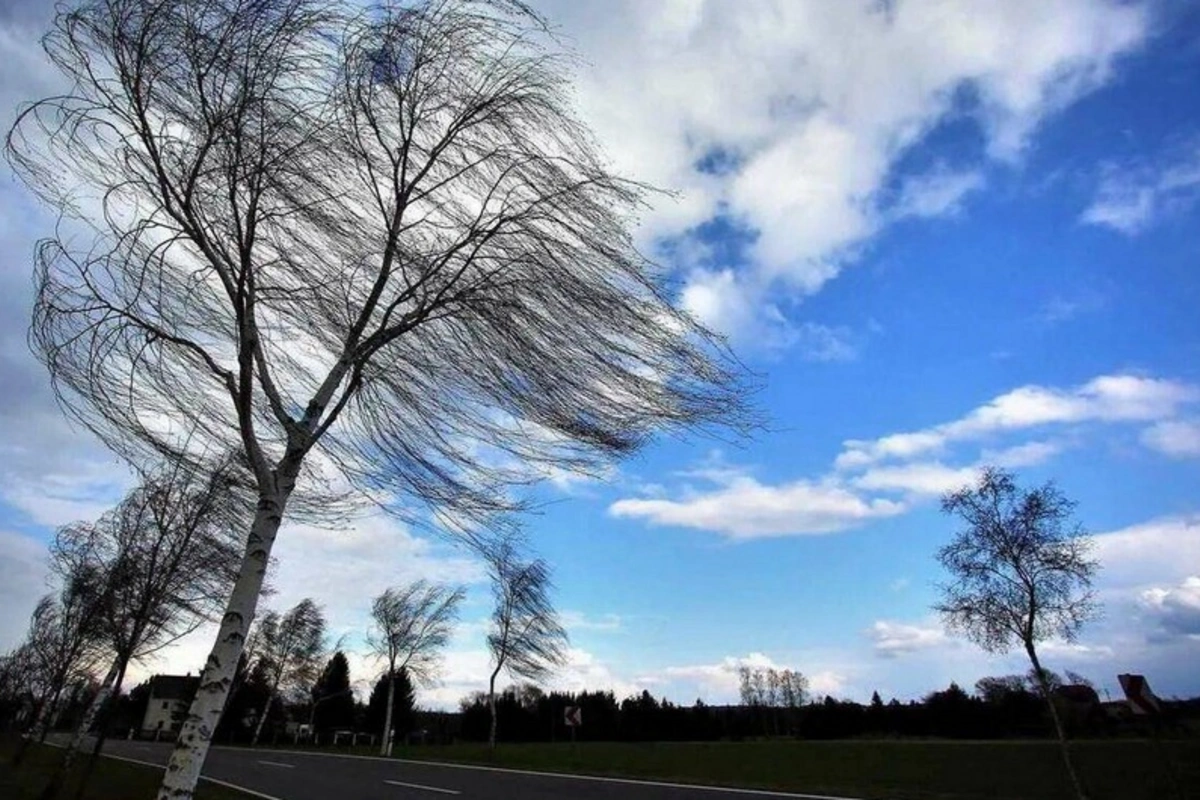 Bakıda və Abşeronda şimal-qərb küləyi 21 m/s-dək güclənib - FAKTİKİ HAVA