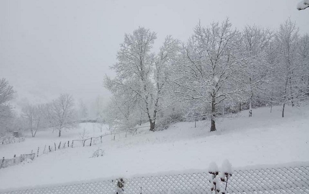 Rayonlara qar yağacaq - PROQNOZ