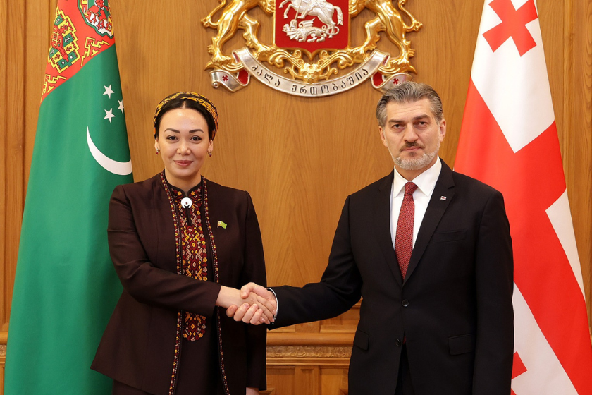 Gürcüstan Prezidenti Türkmənistan Məclisinin sədri ilə görüşüb