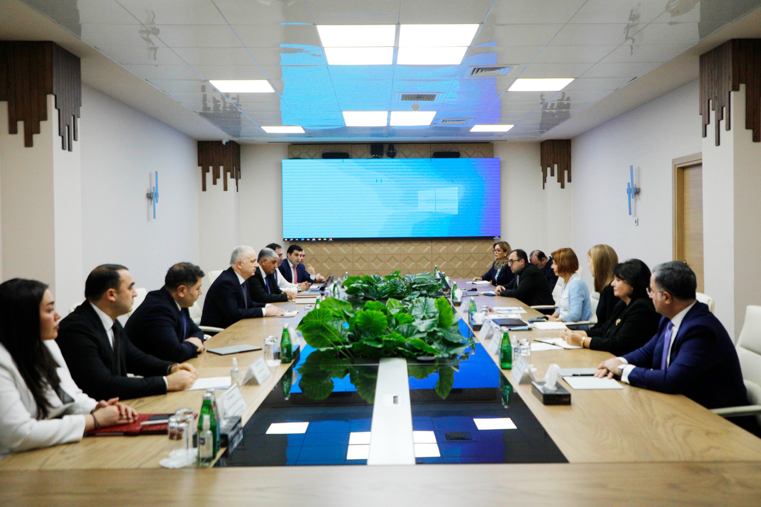 Ölkəmizdə at xəstəliklərindən azad zonaların yaradılması istiqamətində işlərə başlanılıb