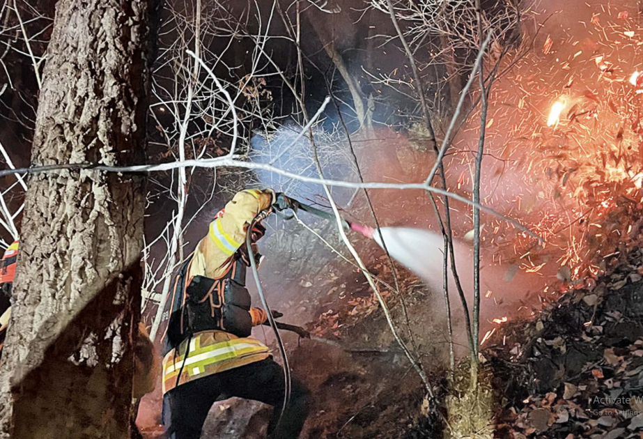 Dağlıq ərazidə F-16 qəzaya uğradı