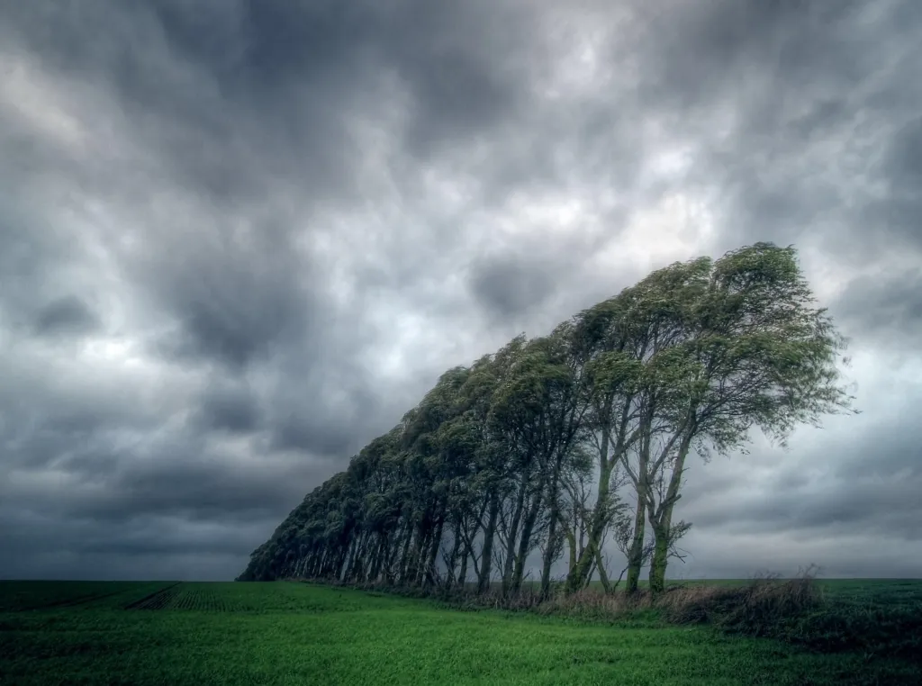 Güclü külək əsəcək - XƏBƏRDARLIQ