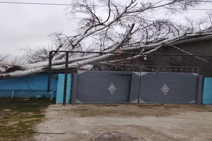 Biləsuvarda güclü külək fəsadlar törədib