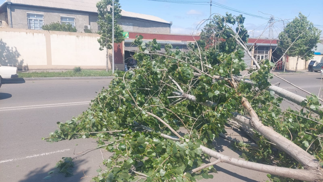 Biləsuvarda güclü külək fəsadlar törədib