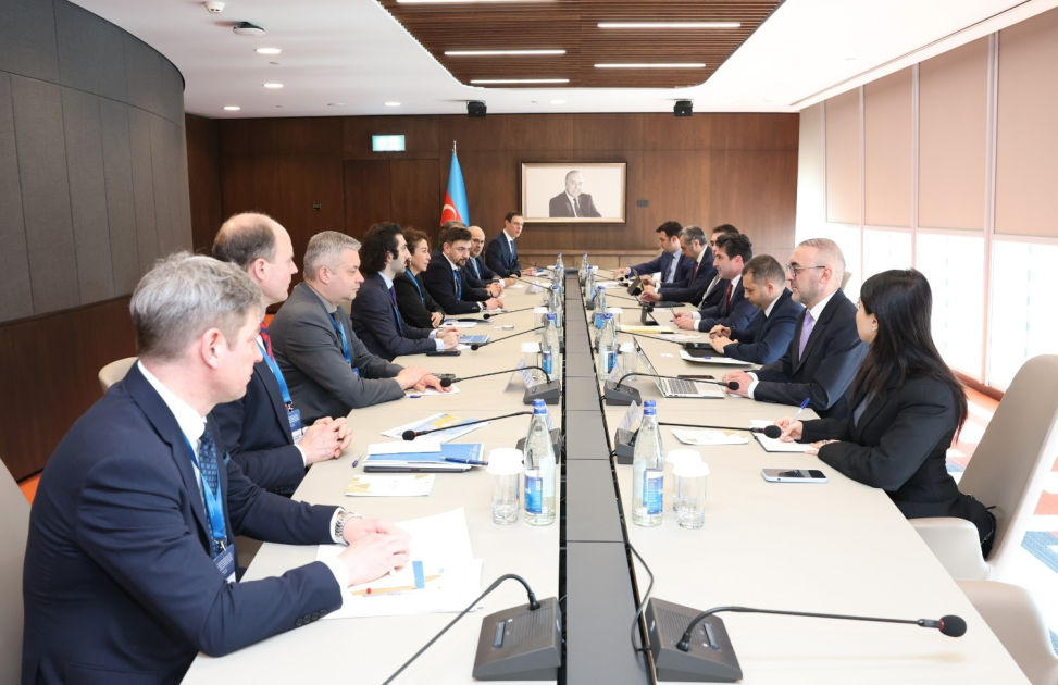 Azərbaycan və Almaniya arasında "yaşıl iqtisadiyyat" üzrə əməkdaşlıq genişlənir