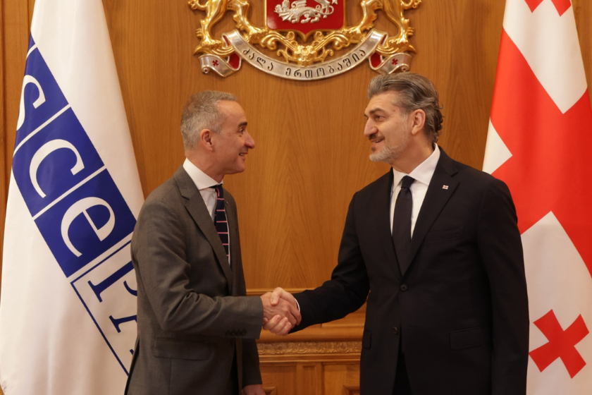 Gürcüstan Prezidenti ATƏT Parlament Assambleyasının  prezidenti ilə görüşüb