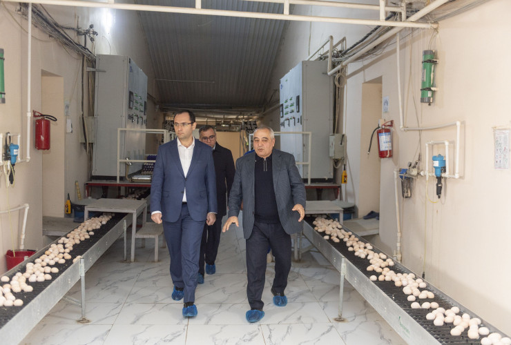 Məcnun Məmmədov Xızı və Abşeronda yerləşən quşçuluq müəssisələrinin fəaliyyəti ilə tanış olub